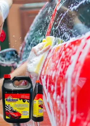 Car Windshields & Windows